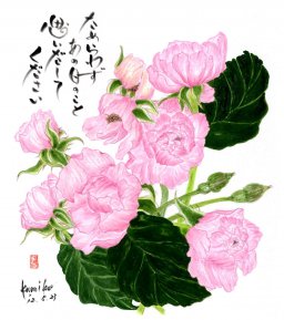 ピンクの薔薇　花言葉「一時の感銘」