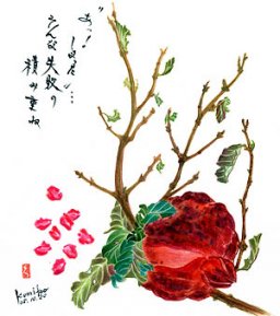 ザクロ    花言葉「円熟した優美」