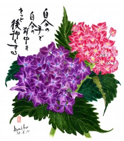 紫陽花　花言葉「辛抱強い愛情」