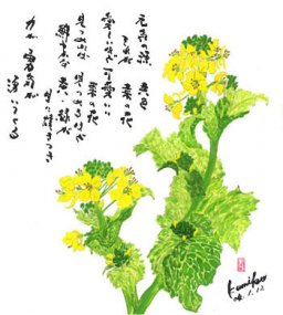 菜の花　花言葉　「競争・快活」