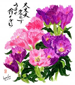 ゴデチア　花言葉「変わらぬ愛」