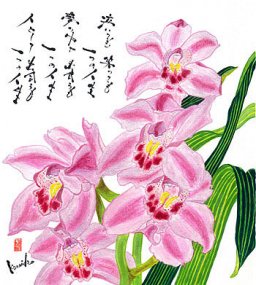 シンピジューム  花言葉　「飾らない心」