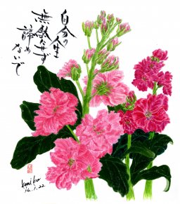 ストック　花言葉「思いやり」