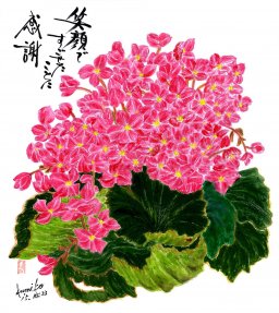 ベゴニア　花言葉「親切」