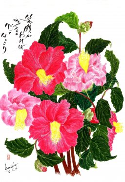 さざんか〔山茶花〕　花言葉「愛嬌」