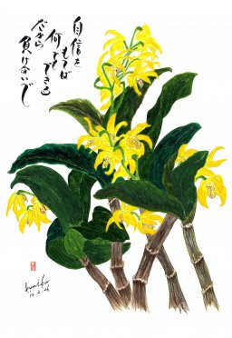 蘭　花言葉「優雅」