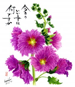 立ち葵 花言葉「大望」