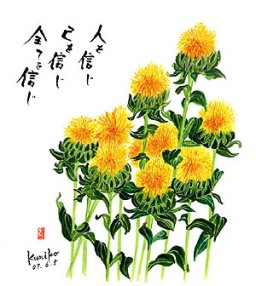 紅花  花言葉「包容力」