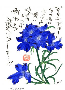 マリンブルー 花言葉「澄んだ瞳」