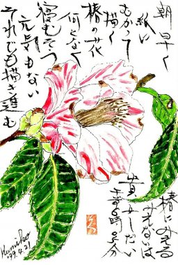 椿(ツバキ) 花言葉「申し分のない魅力」