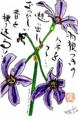 リューココリーネ 花言葉「あたたかい心」