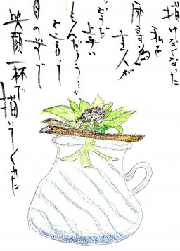 フキノトウ(蕗の薹)　花言葉「真実は一つ」