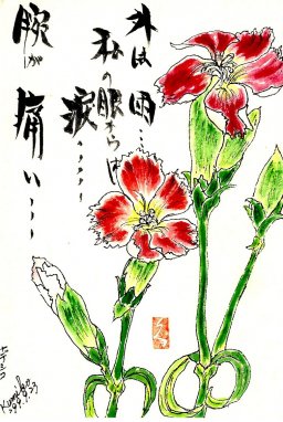 ナデシコ(撫子) 花言葉「無邪気」