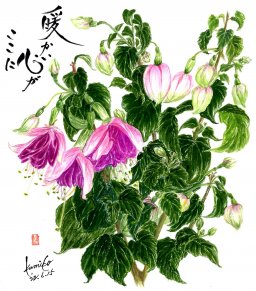 フクシア　花言葉「好み」