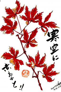 紅葉(モミジ) 　花言葉「大切な思い出」