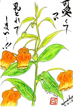 サンダーソニア 花言葉「愛嬌」