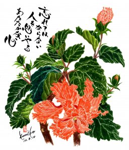 ハイビスカス(オレンジフラミンゴ) 花言葉「私はあなたを信じます」