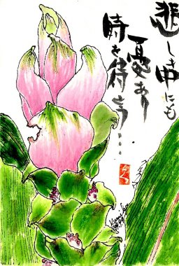 クルクマ　花言葉「乙女の香り」