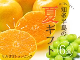 【2026年版】まだ間に合う！家族や友人に贈りたい知多半島の夏ギフトまとめ6選｜夏ミカンやシャインマスカットなど／ちたまるショッピング