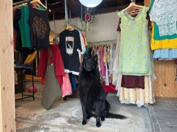 【開店】看板犬がお出迎え!?常滑市に毎日変化する古着屋「EMEIS（エミーズ）」が7/18(土)オープン