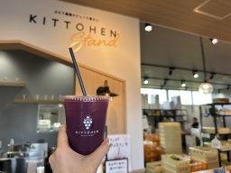 搾りたてジュースも！大府市のブドウ狩り＆直売所おすすめ2選｜サグワットファーマーズ、橘萄園