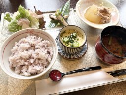 新鮮な地元の野菜を使ったヘルシーランチを堪能！東浦町「葉菜カフェ」に行ってみた