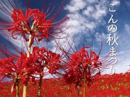 300万本の彼岸花が彩る絶景！「ごんの秋まつり2026」が9/26(土)～10/4(日)に開催