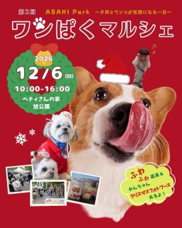 大型ふわふわ遊具も登場！愛犬・子どもが主役のクリスマスマルシェ「第2回 ワンぱくマルシェ」が知多市で12/6(日)開催