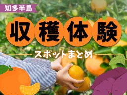 知多半島の秋の味覚・フルーツ狩り完全ガイド｜エリア別おすすめ農園・体験施設まとめ