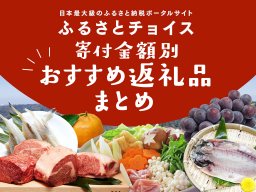 【2026年版】制度改正後は何を選ぶ？知多半島のふるさと納税おすすめ返礼品まとめ｜5,000円～寄付金額別