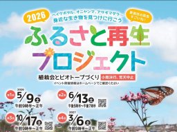 美しい羽根が魅力の“旅する蝶”を観察！「第3回 ふるさと再生プロジェクト」が東海市・加木屋緑地で10/17(土)開催／ちたまる広告