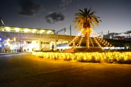 今年で2年目！南知多町の玄関口を彩る「内海駅えきあかりイルミネーション2026」が11/3(火祝)～1/31(日)に開催