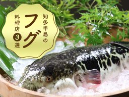 冬の味覚！知多半島で「フグ」が食べられる料理店 3選