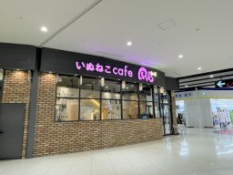 【開店】知多半島初！犬猫と触れ合える「いぬねこcafe Rio 常滑店」がオープン