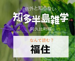 意外と知らない知多半島雑学～阿久比町の地名クイズ～