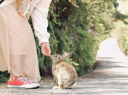 迷い込んだウサギはどこ？新美南吉記念館＆生家でイベント開催中【2023年開運ウサギめぐり】