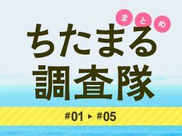 読者の気になる話やウワサなどを取材！ちたまる調査隊まとめ#1～#5