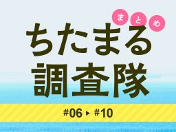 読者の気になる話やウワサなどを取材！ちたまる調査隊まとめ#6～#10