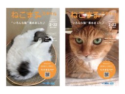 「＃ねこまるスタイル表紙になりたい猫」で表紙になったネコたち