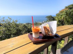 南知多の絶景広がるカフェ「時間の森（ときのもり）」で過ごす癒しの時間