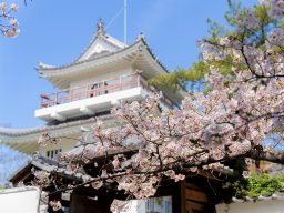 城跡×桜が絶景！風情を感じる花見スポット「大野城跡」へ【ぶらり、じもふぉと。】