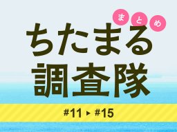 読者の気になる話やウワサなどを取材！ちたまる調査隊まとめ#11～#15