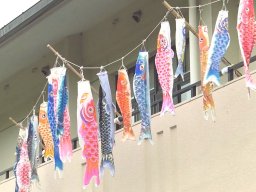 知多市の東部福祉会館で可愛い鯉のぼりが見られます！