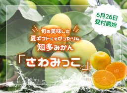 【6/26受付開始】知多半島からのフレッシュな贈り物！「さわみっこ」ミカンで夏を満喫／ちたまるショッピング