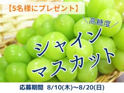 【5名様にプレゼント】シャインマスカットが抽選で5名に当たる！8/10(木)～