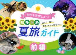 知多半島でカブトムシ採集＆星空観察をしよう！夏旅ガイド＜前編＞【知多半島レポ#25】