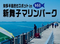 子連れ必見！新舞子マリンパークで釣りを満喫【知多半島 釣り冒険記#1】