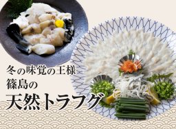 冬の味覚！知多半島の天然トラフグてっさ＆フグ鍋セット／ちたまるショッピング