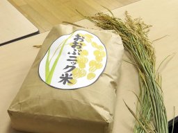 農薬や化学肥料を使わない「おおぶニック米」が小中学校の給食に