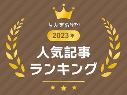 大発表！2023年ちたまるNaviで一番読まれていた記事は！